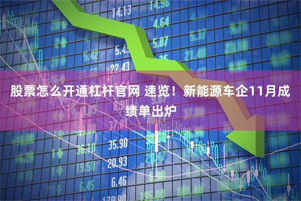 股票怎么开通杠杆官网 速览！新能源车企11月成绩单出炉