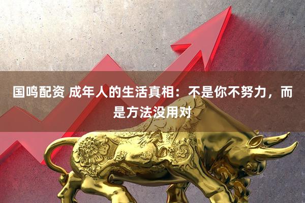 国鸣配资 成年人的生活真相：不是你不努力，而是方法没用对